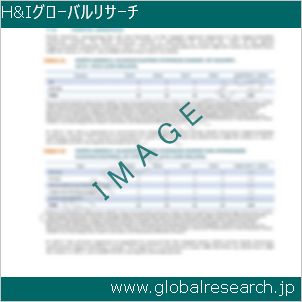グローバルリサーチ調査レポートのイメージ